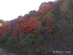 -天女山森林公园