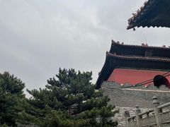 -北陵公园