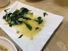 -肥信潮菜(科新路店)