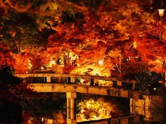 -遵化市禅林寺古银杏风景园