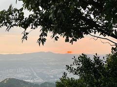 -阳台山森林公园