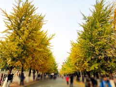 -辽宁大学(崇山校区)
