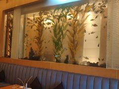 -Acqua海蓝意大利餐厅