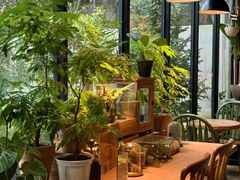 -自由生长植物工作室(深港花卉中心店)