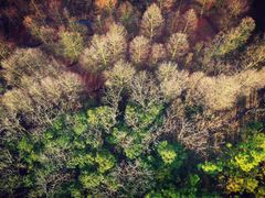 -上海海湾国家森林公园