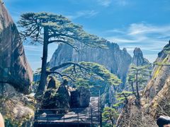 -黄山风景区
