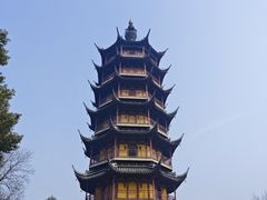 -红梅公园