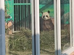 -苏州太湖国家湿地公园