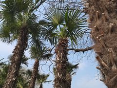 -玄武湖景区-情侣园游乐场