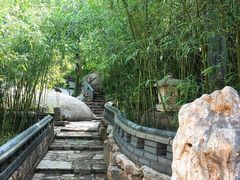 -老张烤羊(王哥庄店)