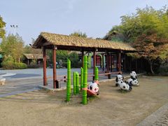 -苏州太湖国家湿地公园