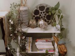 -春风·有糖(崇宁路店)