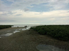 android_upload_pic-北海金海湾红树林生态旅游区