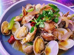 辣炒花蛤-撸啊撸铁签小肉(车站南路店)
