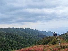 -大围山国家森林公园
