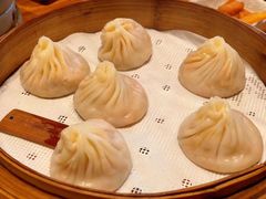 -村口大树(长乐路店)
