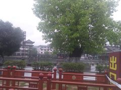-国恩寺