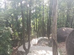 -火炉山森林公园