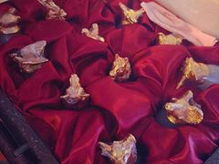 iphone_upload_pic-南京金陵饭店