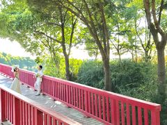 -美兰湖景区