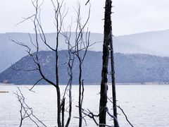 -普达措国家公园