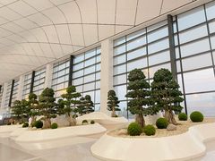 -郑州新郑国际机场