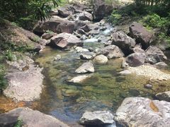 -花岩国家森林公园