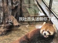 -柳州市动物园