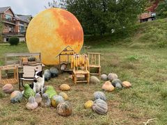 -北马山庄植趣咖啡