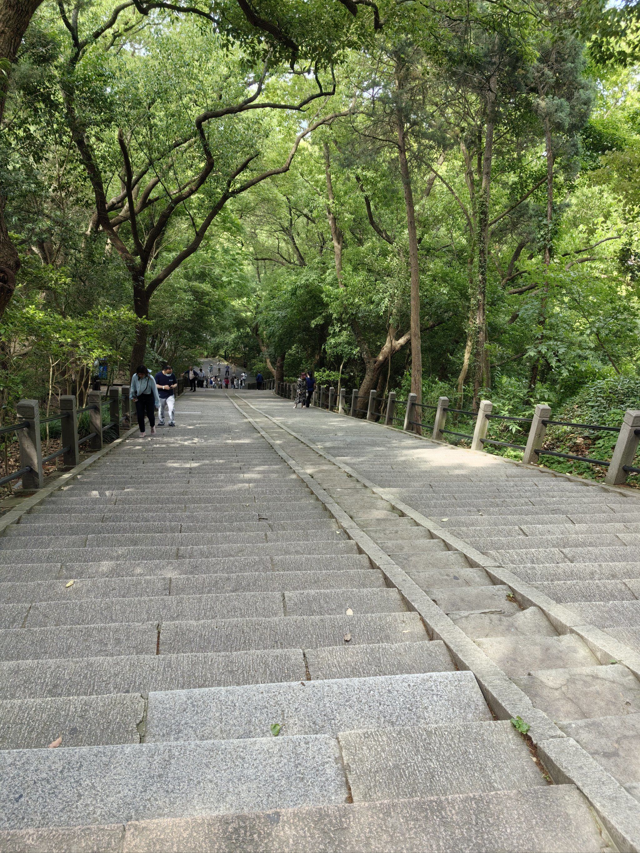 上海佘山国家森林公园,上海唯一的一座山