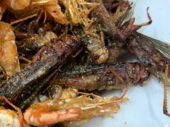 炸小河虾-老保定驴肉馆(云岗路店)