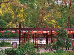 -深圳国际园林花卉博览园