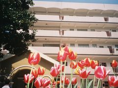 -浙江省杭州高级中学(贡院校区)