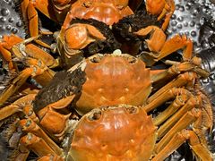 -枫伝料理居酒屋