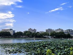 -武汉大学中南医院(总院区)