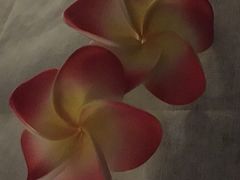 -SABAI THAI SPA泰式按摩体验馆(北城天街店)