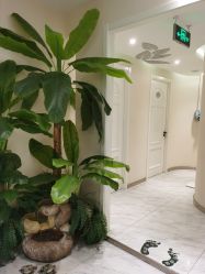 -健身堂科技美肌SPA