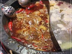 -蜀大侠火锅(森兰花园城店)