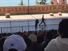 -东方熊牧场