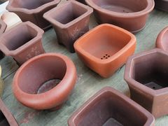 -中环花鸟鱼虫市场