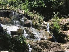 -鼎湖山风景区