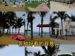 -玫瑰海岸文化旅游度假区