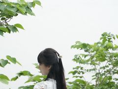 -瑶湖郊野森林公园