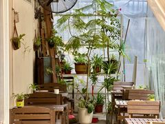 -绿小院(荔湾店)