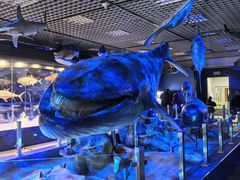 -国家自然博物馆