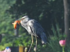 -太阳宫公园