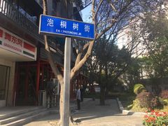 -泡桐树街