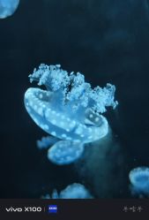 -Zoolung Zoolung动物主题公园(海信广场店)