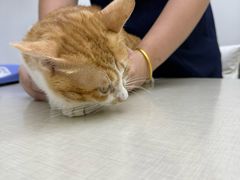 -拜鲁耶动物诊疗中心·宠家动物医院