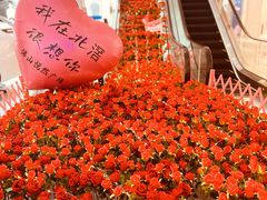 -悦然广场(北滘店)